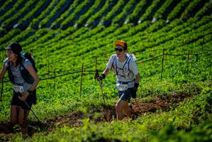 BIB: 5772, 144
                            <button type="button" onclick="openModal(19160756)" class="btn btn-primary btn-sm float-right btn-popup" data-toggle="modal" data-target=".modal-high-quality">
                        <i class="fas fa-shopping-cart"></i> Add to Cart
                    </button>
                                            <button type="button" onclick="isThisMe(19160756, true)" class="btn btn-success btn-sm float-right btn-popup btn-isme hidden" data-toggle="tooltip" data-placement="bottom" title="นี่คือรูปของคุณใช่ไหม คลิกที่นี่เพื่อเอาเข้าอัลบั้ม">
                        <i class="fas fa-plus"></i> Add to album
                    </button>
                    <button type="button" onclick="isThisMe(19160756, false)" class="btn btn-warning btn-sm float-right btn-popup btn-isnotme hidden">
                        <i class="fas fa-ban"></i> Remove from album
                    </button>